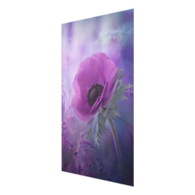 Glasbild - Anemonenblüte in Violett - Hoch 2:3