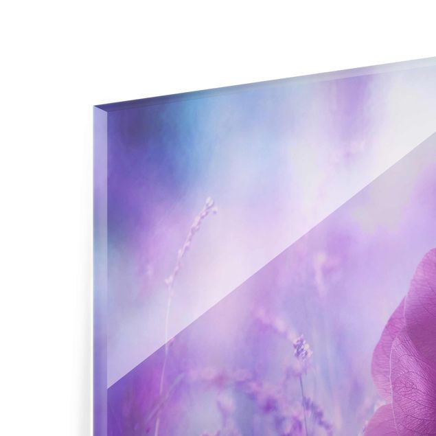 Glasbild - Anemonenblüte in Violett - Quadrat 1:1