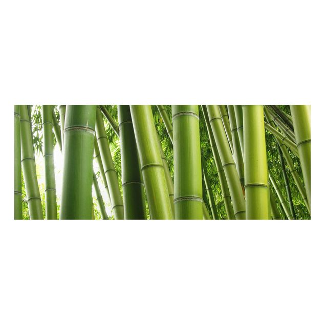 Schöne Wandbilder Bamboo Trees No.1