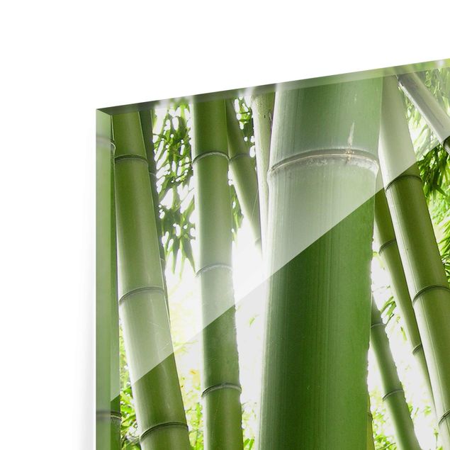 Glasbild - Bamboo Trees No.1 - Panorama Quer