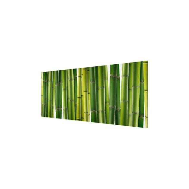 Grüne Glasbilder Bambuspflanzen