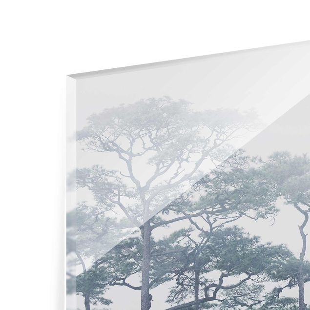 Glasbild - Baumkronen im Nebel - Querformat 2:3