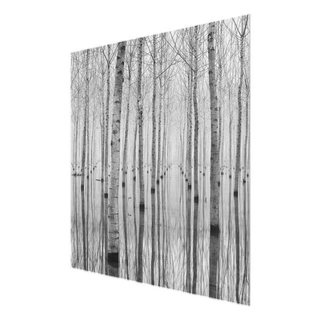 Glasbild - Birken im November - Quadrat 1:1