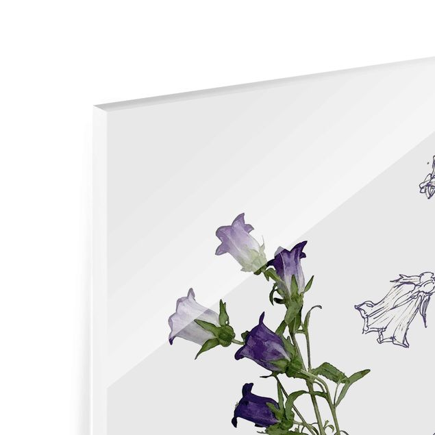Glasbild - Botanisches Aquarell - Glockenblume - Hochformat 3:2