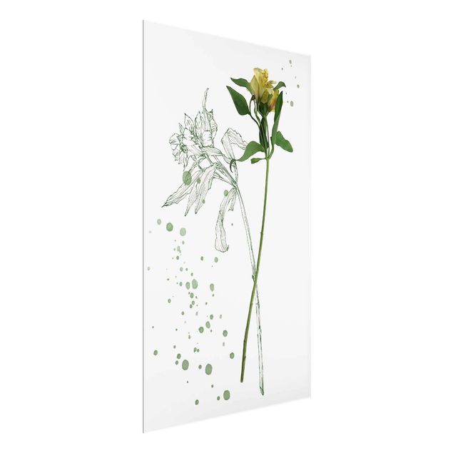 Wandbilder Botanisches Aquarell - Lilie