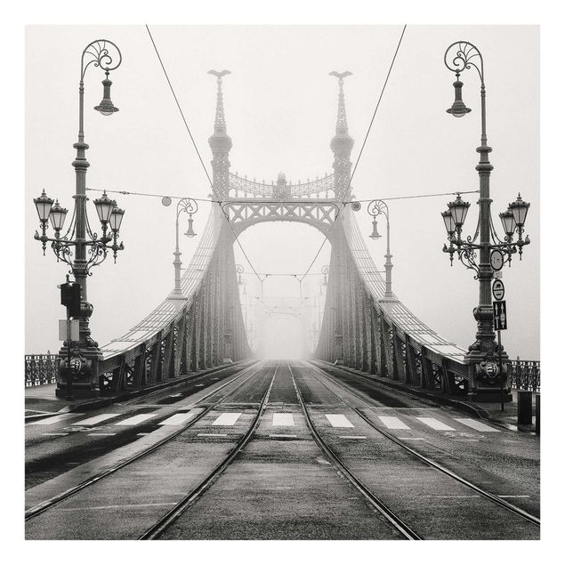 Glasbilder Brücke in Budapest