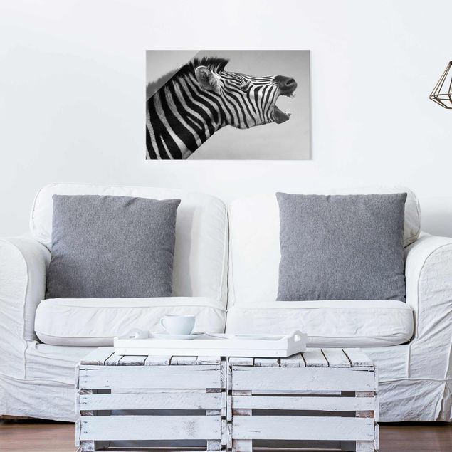 XXL Glasbilder Brüllendes Zebra II