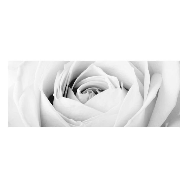Bilder für die Wand Close Up Rose