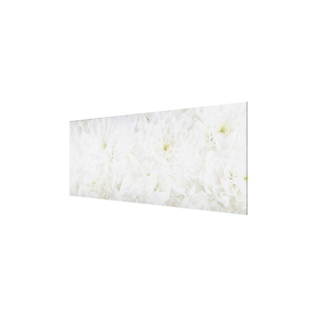 Natur Glasbilder Dahlien Blumenmeer weiß