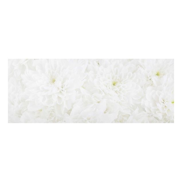Bilder für die Wand Dahlien Blumenmeer weiß