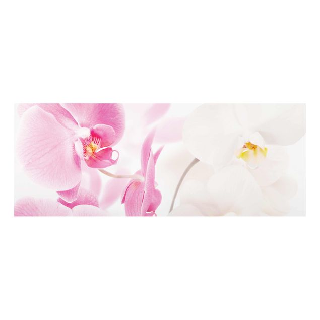 Wandbilder Delicate Orchids