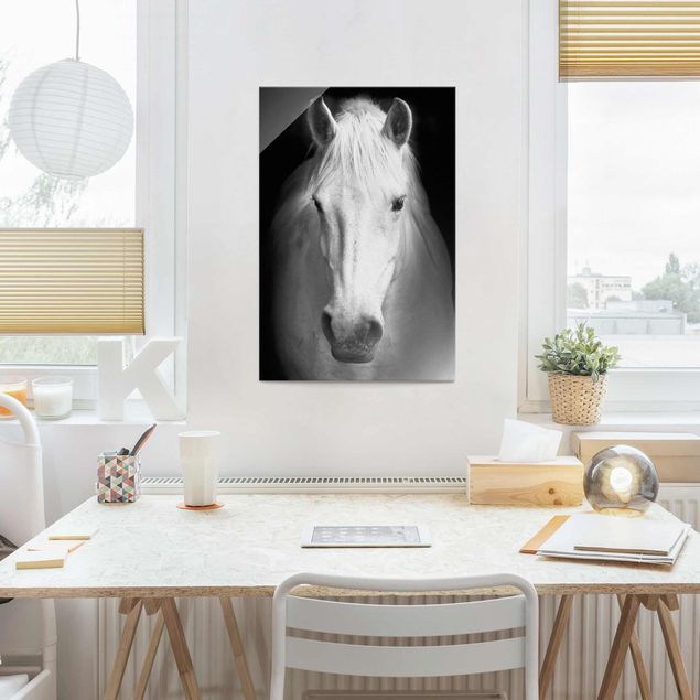 Wandbilder Glas XXL Dream of a Horse