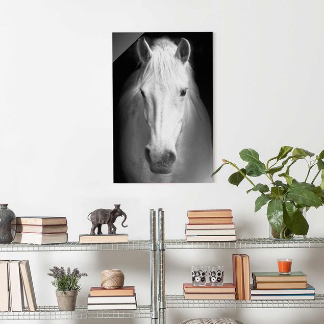 Schwarz-Weiß Glasbilder Dream of a Horse