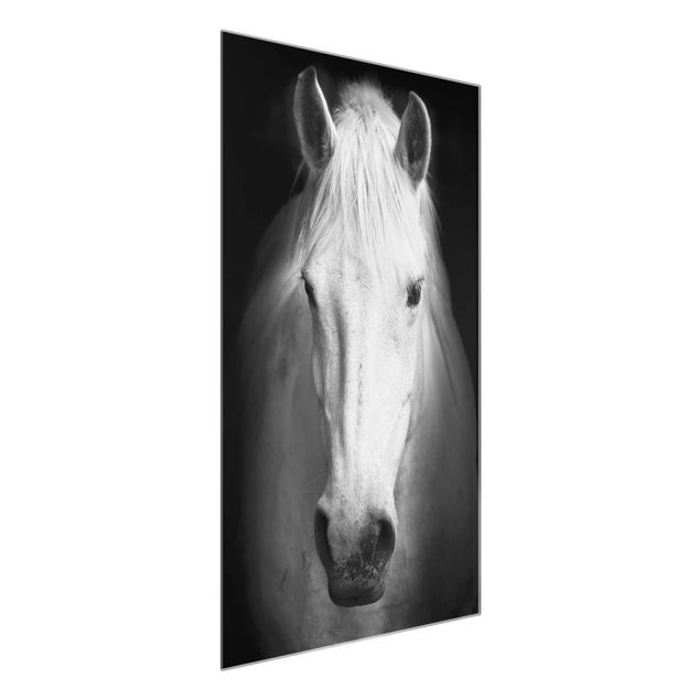 Glasbilder Tiere Dream of a Horse