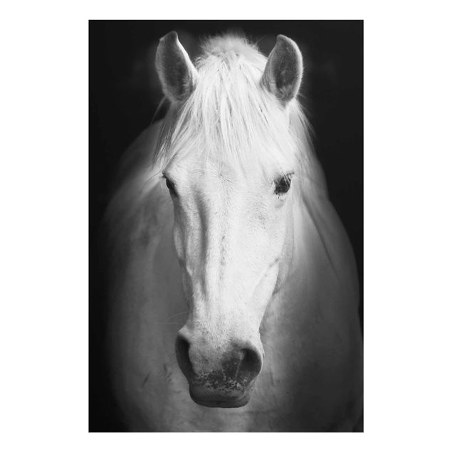 Bilder für die Wand Dream of a Horse