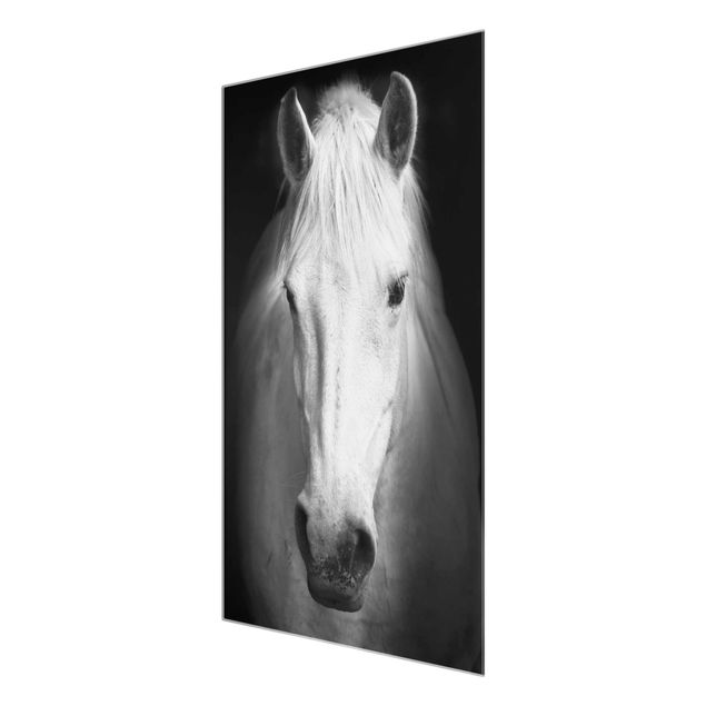 Glas Wandbilder Dream of a Horse