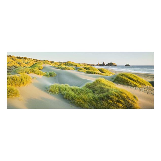 Glasbild - Dünen und Gräser am Meer - Panorama Quer