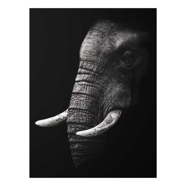 Wandbilder Dunkles Elefanten Portrait