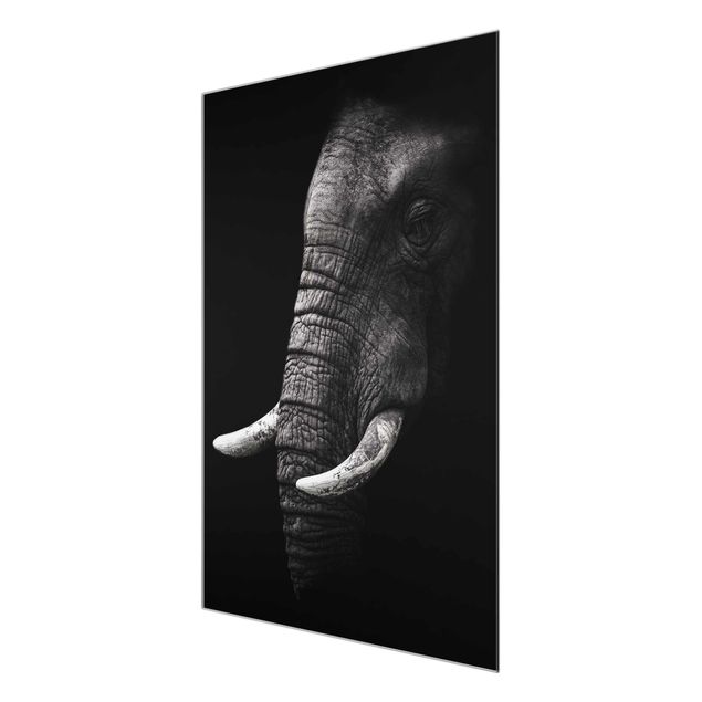 Glasbilder Dunkles Elefanten Portrait