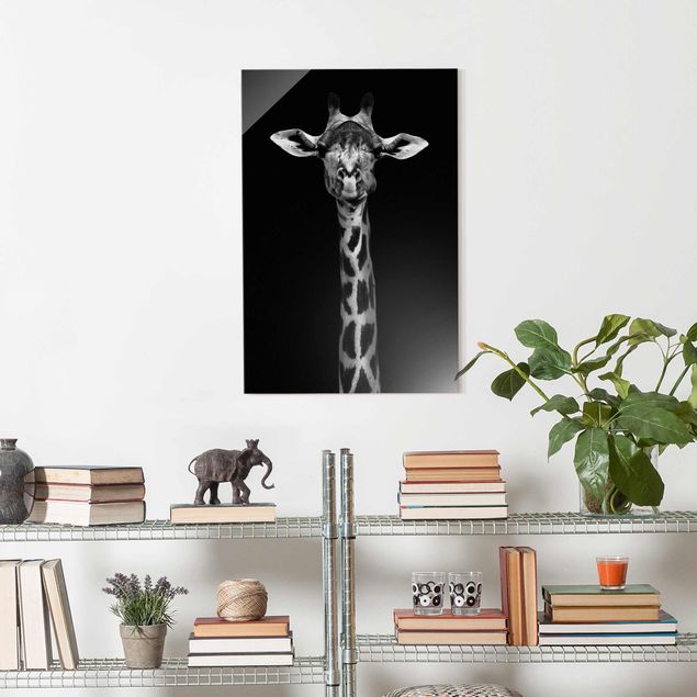 XXL Glasbilder Dunkles Giraffen Portrait