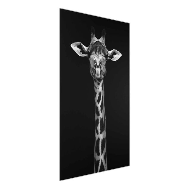 Glasbild Tiere Dunkles Giraffen Portrait
