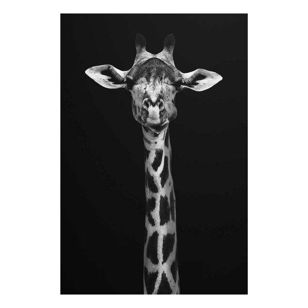 Schöne Wandbilder Dunkles Giraffen Portrait
