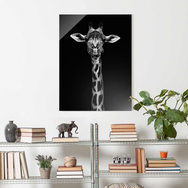 Wandbilder Glas XXL Dunkles Giraffen Portrait