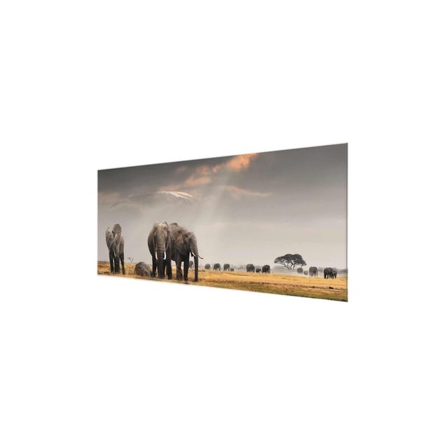 Glasbilder Landschaft Elefanten der Savanne