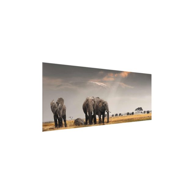 Bilder auf Glas Elefanten der Savanne