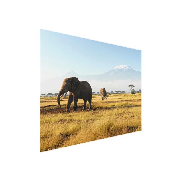 Glasbilder Landschaften Elefanten vor dem Kilimanjaro in Kenya