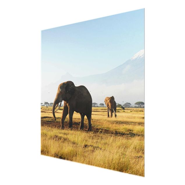 Glas Wandbilder Elefanten vor dem Kilimanjaro in Kenya