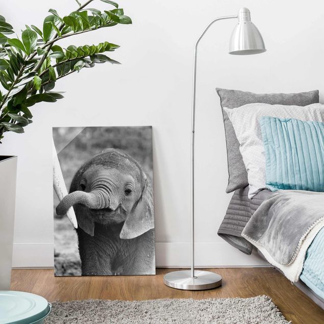 Schwarz-Weiß Glasbilder Elefantenbaby