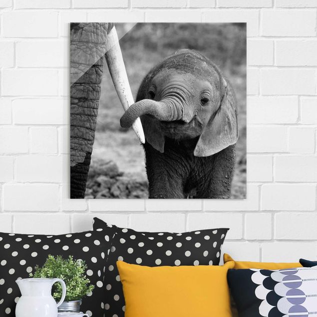 Wandbilder Tiere Elefantenbaby