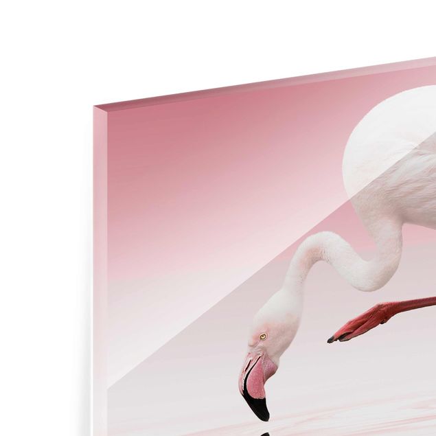 Glasbild - Flamingo Dance - Quer 3:2