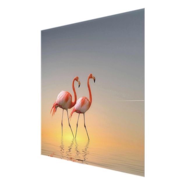Bilder auf Glas Flamingo Love