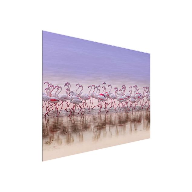 Schöne Wandbilder Flamingo Party