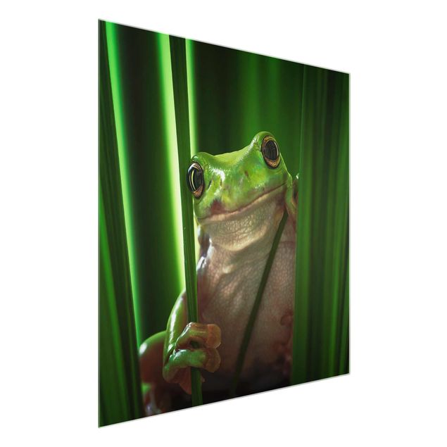 Glasbild Grün Fröhlicher Frosch