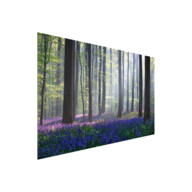 Bilder für die Wand Frühlingstag im Wald