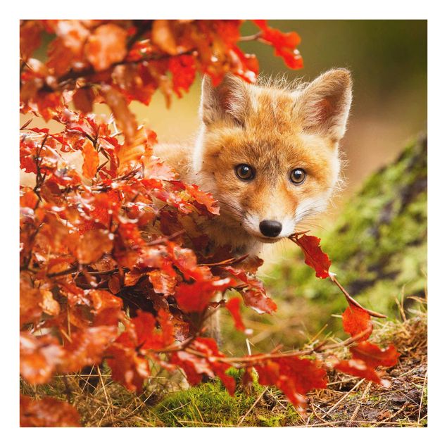 Bilder für die Wand Fuchs im Herbst