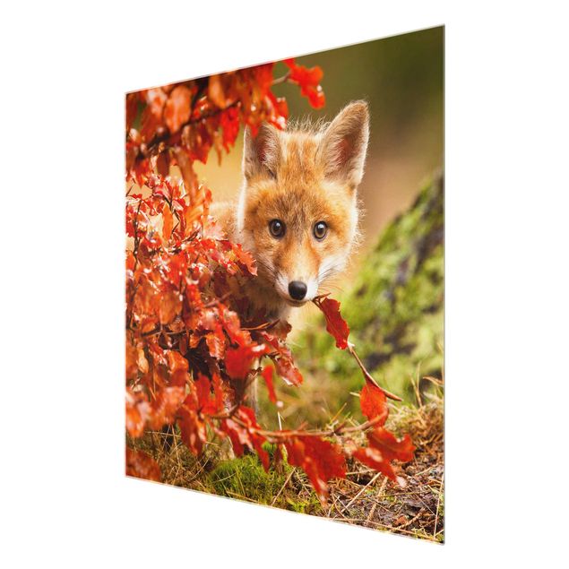 Glas Wandbilder Fuchs im Herbst