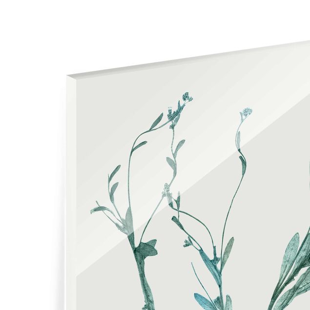 Glasbild - Gepresste Blumen - Vergissmeinnicht - Hochformat 4:3