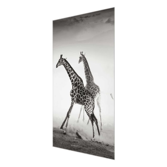 Glasbilder Giraffenjagd