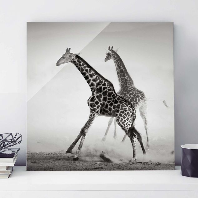 Wandbilder Tiere Giraffenjagd
