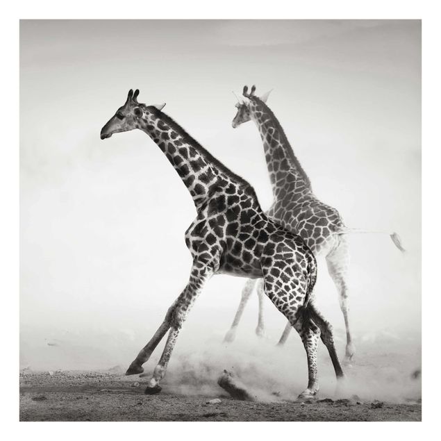 Bilder für die Wand Giraffenjagd
