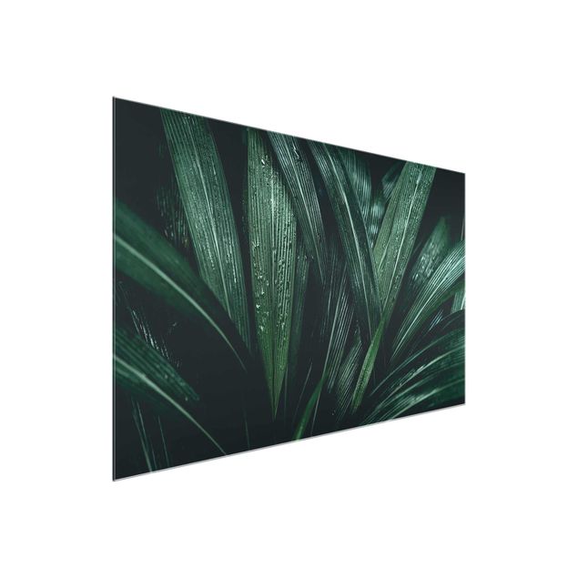 Glasbild Grün Grüne Palmenblätter