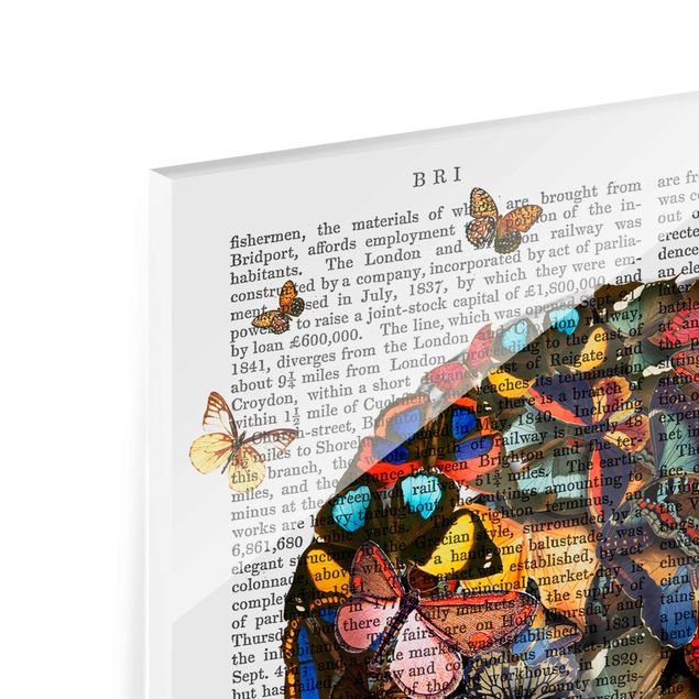 Glasbild - Grusellektüre - Schmetterlingsschädel - Hochformat 4:3