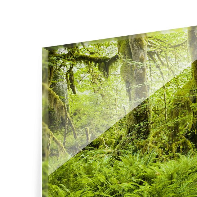 Glasbild - Hall of Mosses Olympic National Park - Panorama