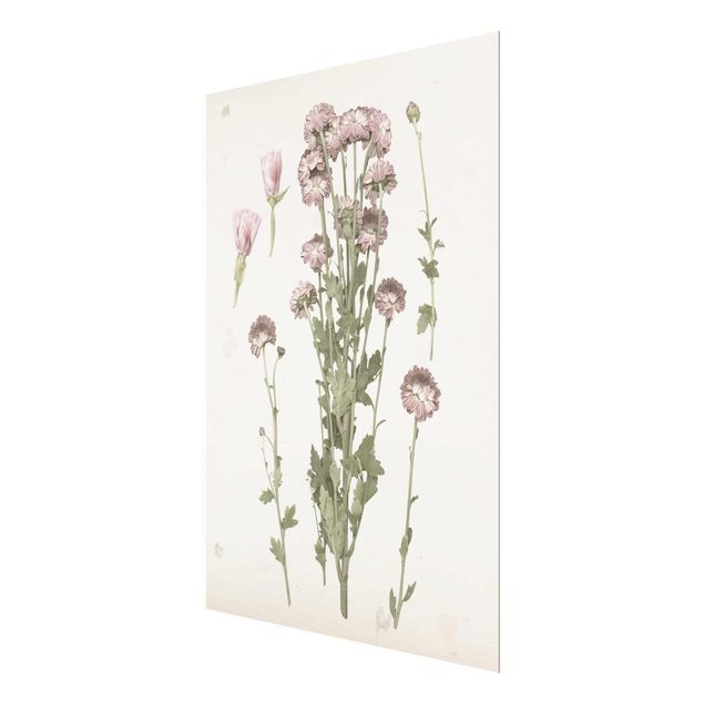 Glasbild - Herbarium in rosa I - Hochformat 4:3