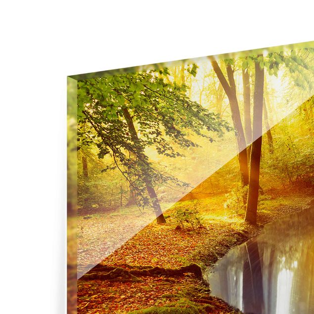 Glasbild - Herbstwald - Panorama Quer - Waldbild Glas