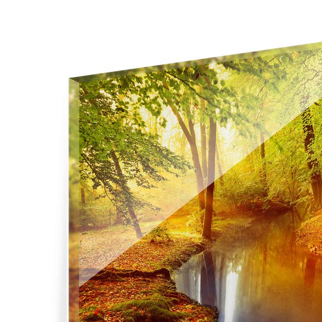 Glasbild - Herbstwald - Quer 3:2 - Waldbild Glas